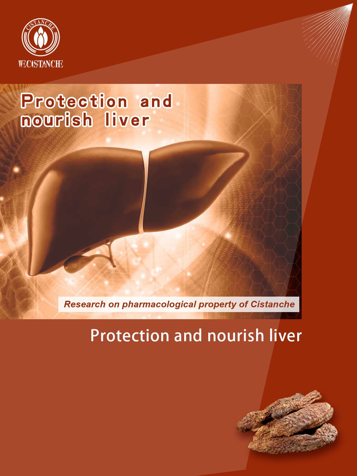 Protect liver 1