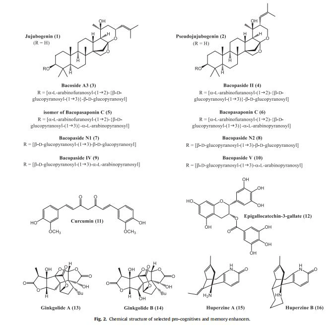 Chemical structure of selected pro-cognitives and memory enhancers.