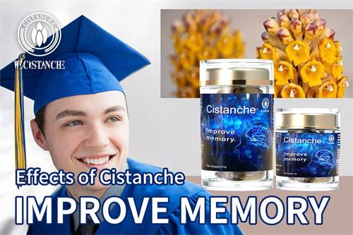 cistanche herb can improve memory 