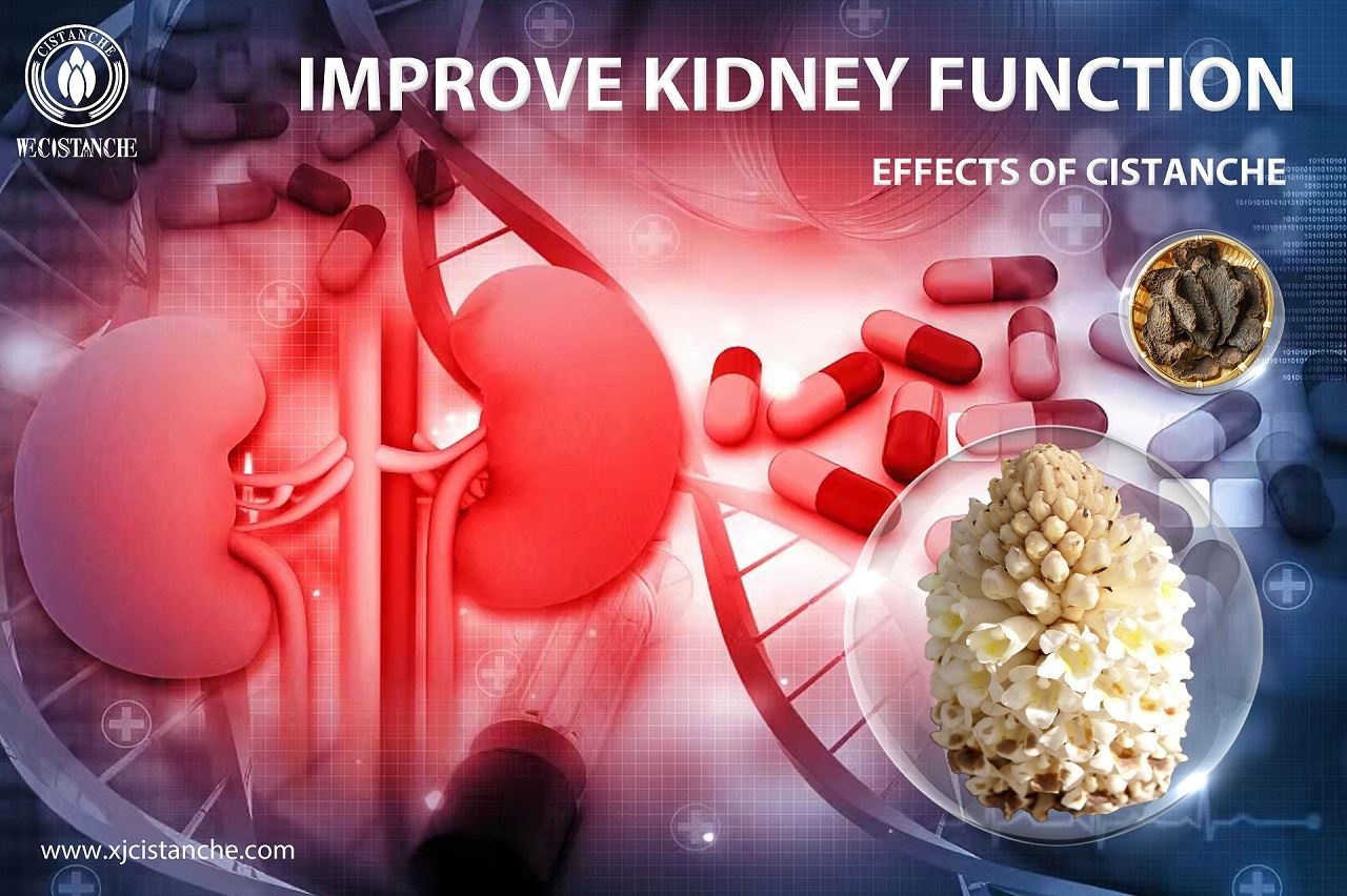 Is your kidney tired?