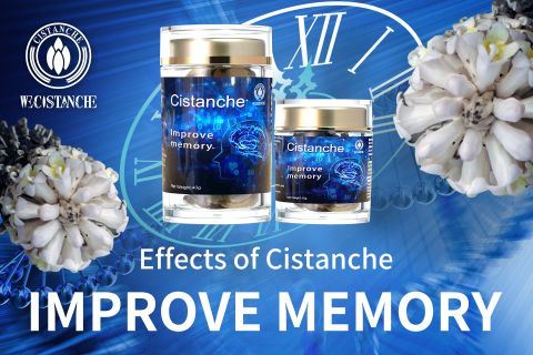 Cistanche-improve memory