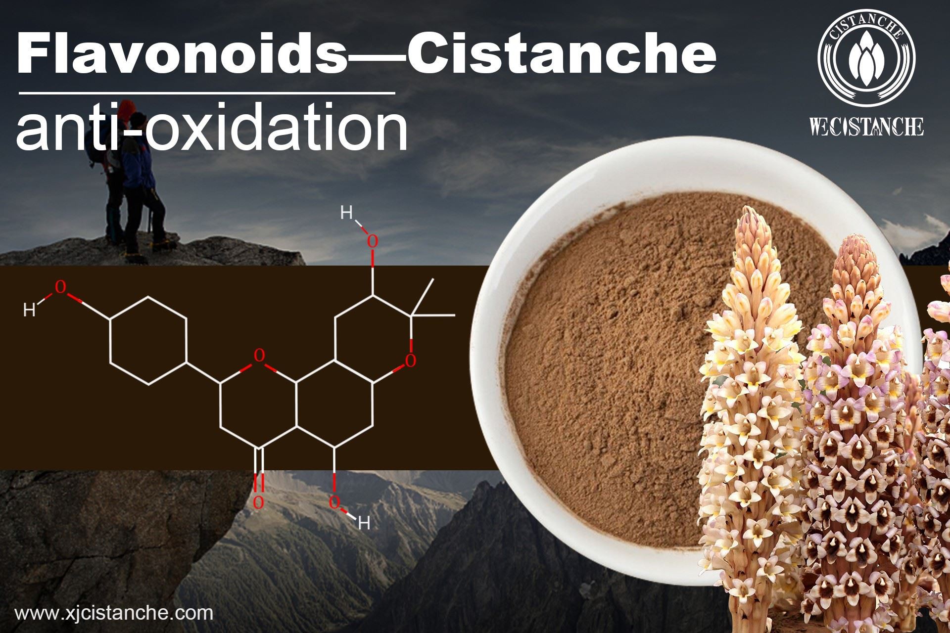 Flavonoids of Cistanche