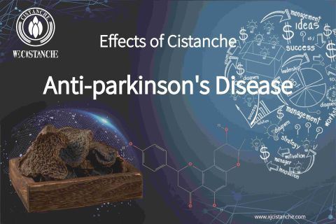 cistanche-neuroprotection3 cistanche-neuroprotection3