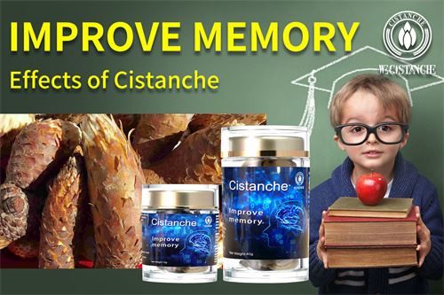 cistanche supplement improve memory cistanche supplement improve memory