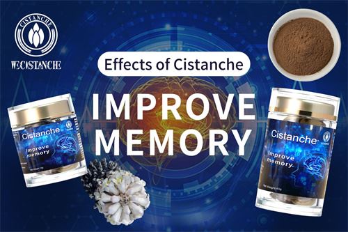 cistanche supplement improve memory cistanche supplement improve memory