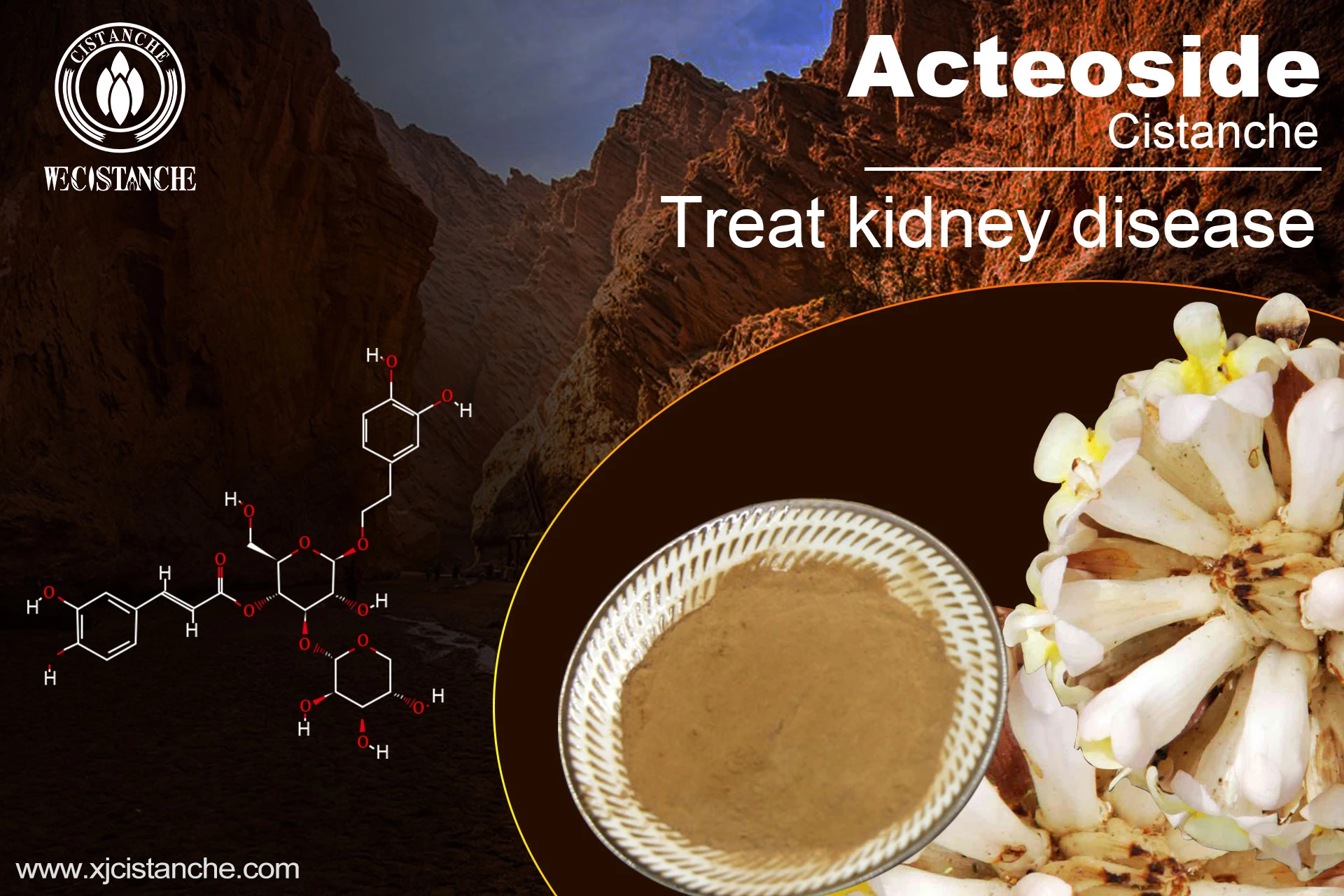 how to treat kidney disease