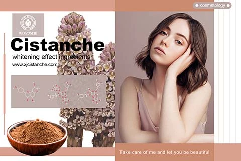 Cistanche Whitening Cream Cistanche Whitening Cream