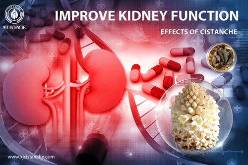 Improve kidney function