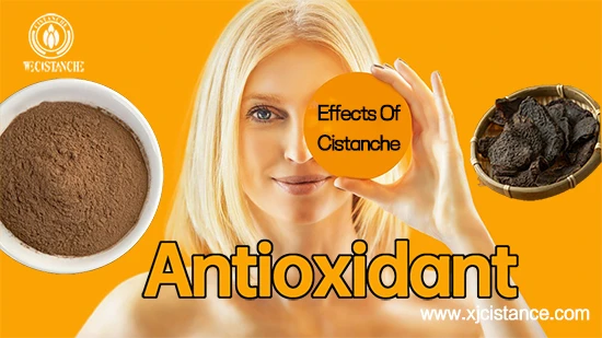 Desert living cistanche—Antioxidant