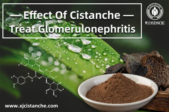 https://www.xjcistanche.com/cistanche-extract-product/cistanche-for-nourishing-kidney.html https://www.xjcistanche.com/cistanche-extract-product/cistanche-for-nourishing-kidney.html
