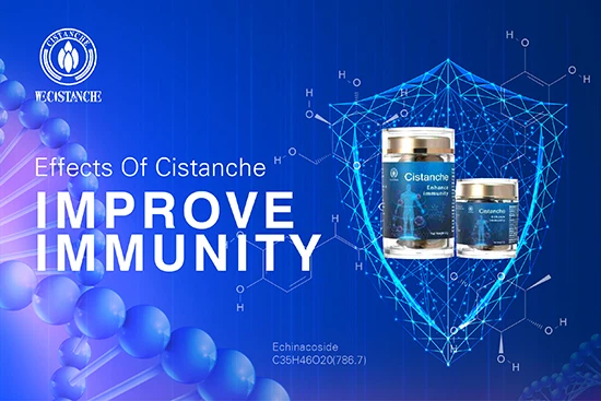 Cistanche deserticola—improve immunity (5)