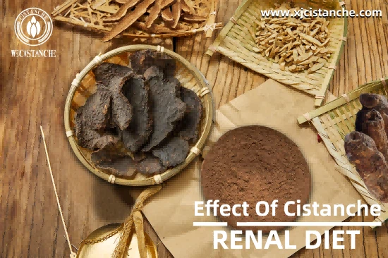 CISTANCHE EXTRACT WITH 25% ECHINACOSIDE AND 9% ACTEOSIDE FOR KIDNEY 