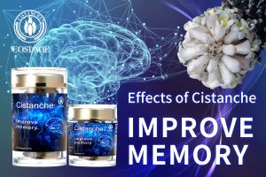 improving brain function improving brain function