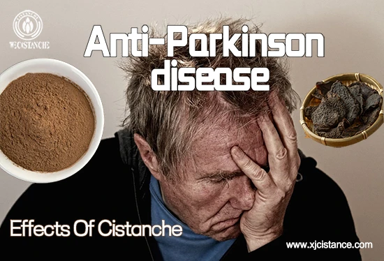 Anti-Parkinson's disease 2