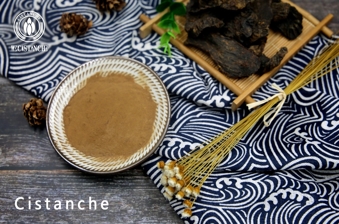 cistanche tubulosa for fitness and whitening