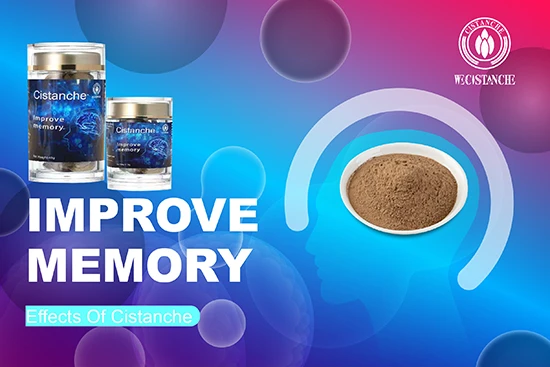 cistanche-Improve memory3