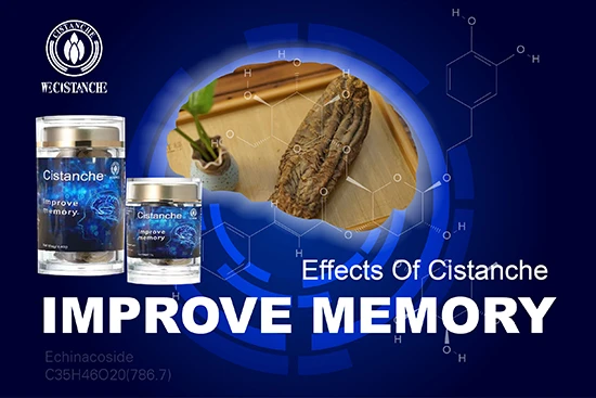 cistanche-Improve memory