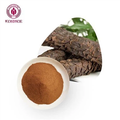 Cistanche voor testosteron
