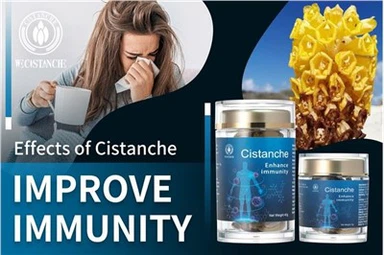Cistanche Tubulosa Immuniteitsbooster