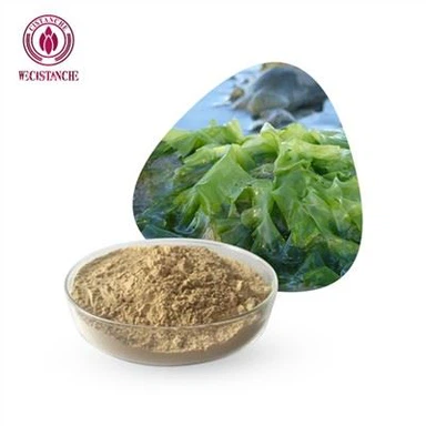 Zeewier Extract Poeder