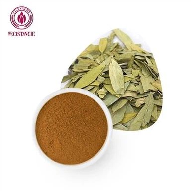 Senna Leaf Extract Poeder